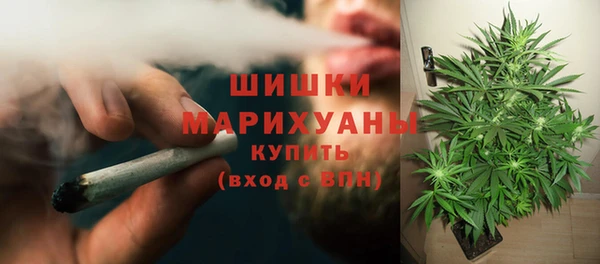 прущие крисы Арсеньев