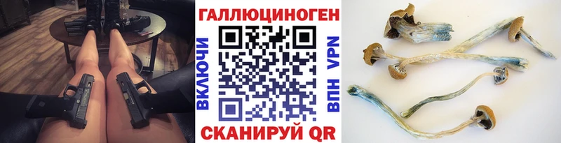 ссылка на мегу как войти Удачный Псилоцибиновые грибы мицелий дарнет шоп